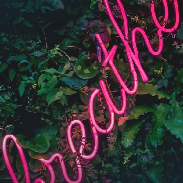 Letting Go Without Anger: Detachment With&nbsp;Compassion